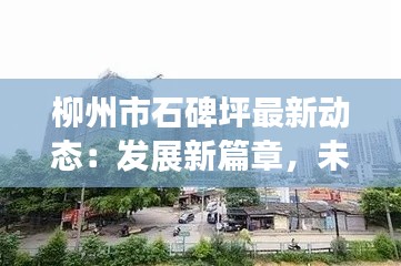 柳州市石碑坪最新动态:发展新篇章,未来可期