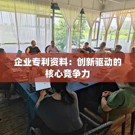 企业专利资料:创新驱动的核心竞争力
