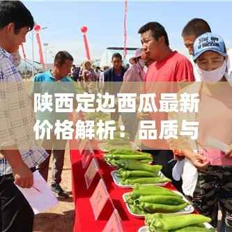 陕西定边西瓜最新价格解析:品质与市场的双重考量