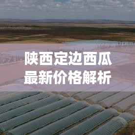 陕西定边西瓜最新价格解析:品质与市场的双重考量
