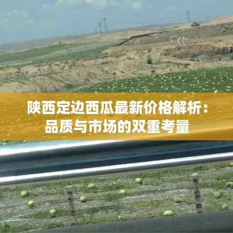 陕西定边西瓜最新价格解析:品质与市场的双重考量