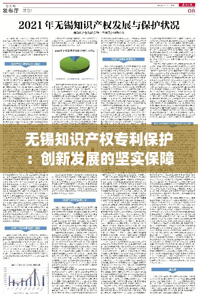 无锡知识产权专利保护:创新发展的坚实保障