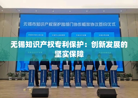 无锡知识产权专利保护:创新发展的坚实保障