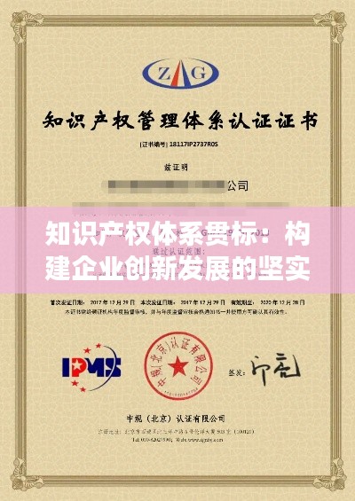 知识产权体系贯标:构建企业创新发展的坚实基石