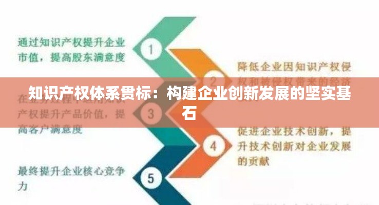 知识产权体系贯标:构建企业创新发展的坚实基石