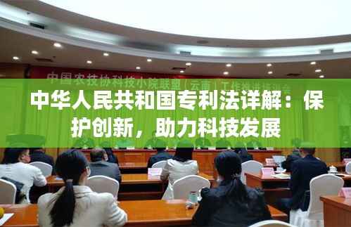 中华人民共和国专利法详解:保护创新,助力科技发展