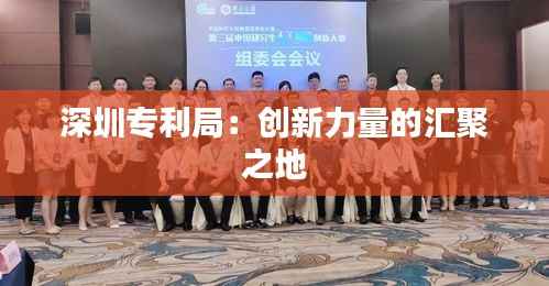 深圳专利局:创新力量的汇聚之地