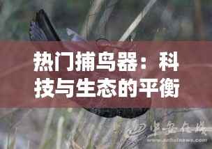 热门捕鸟器:科技与生态的平衡之道