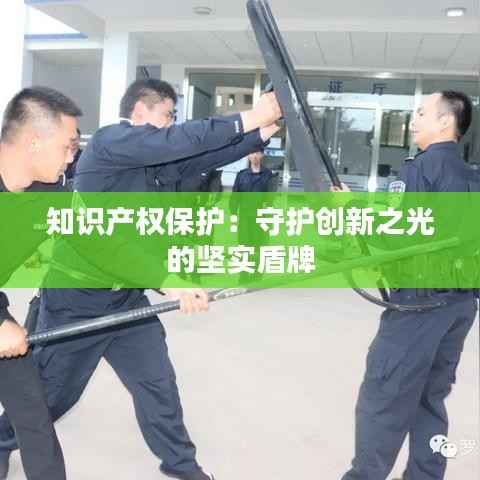 知识产权保护:守护创新之光的坚实盾牌