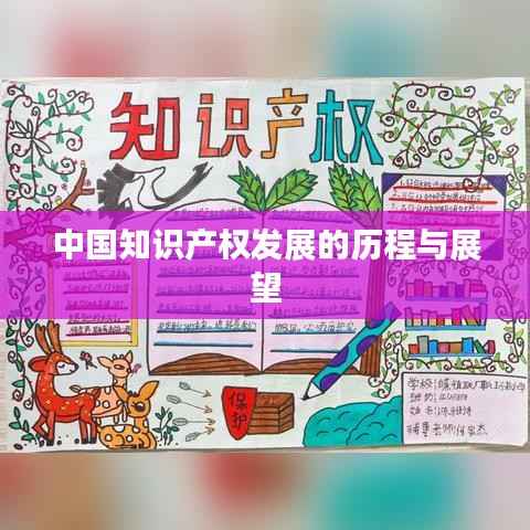 中国知识产权发展的历程与展望