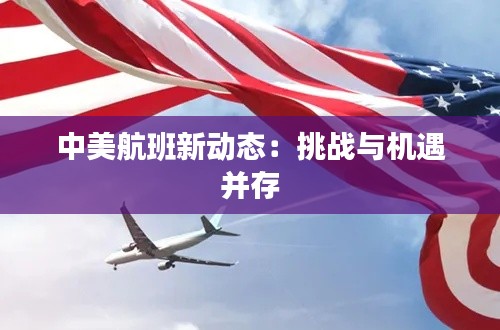 中美航班新动态:挑战与机遇并存
