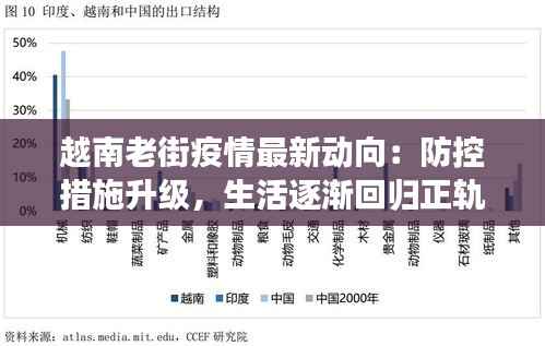 越南老街疫情最新动向:防控措施升级,生活逐渐回归正轨