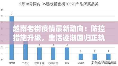 越南老街疫情最新动向:防控措施升级,生活逐渐回归正轨