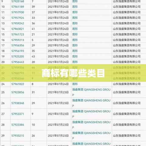 商标有哪些类目