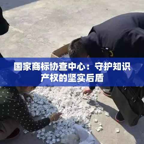 国家商标协查中心:守护知识产权的坚实后盾