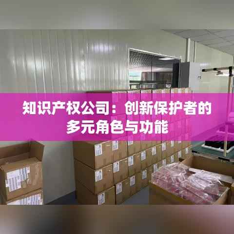 知识产权公司:创新保护者的多元角色与功能