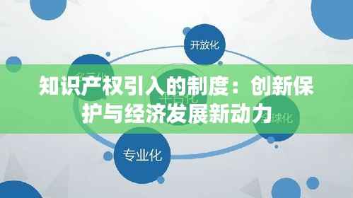 知识产权引入的制度:创新保护与经济发展新动力
