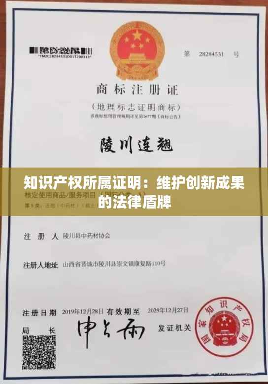 知识产权所属证明:维护创新成果的法律盾牌