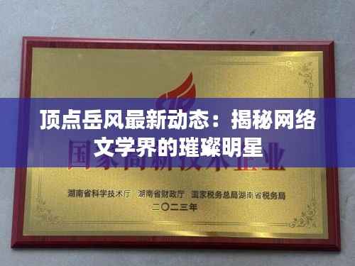 顶点岳风最新动态:揭秘网络文学界的璀璨明星