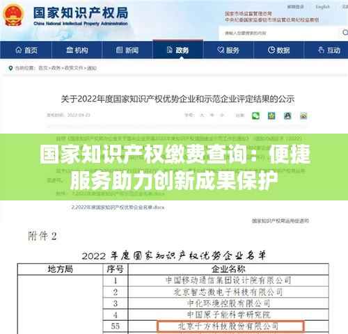 国家知识产权缴费查询:便捷服务助力创新成果保护