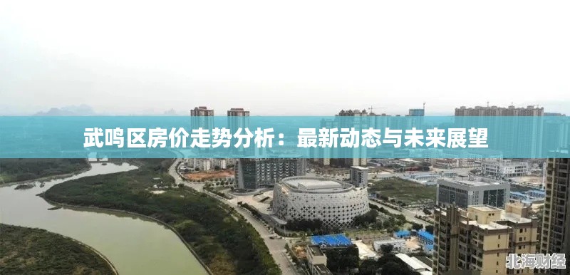 武鸣区房价走势分析:最新动态与未来展望