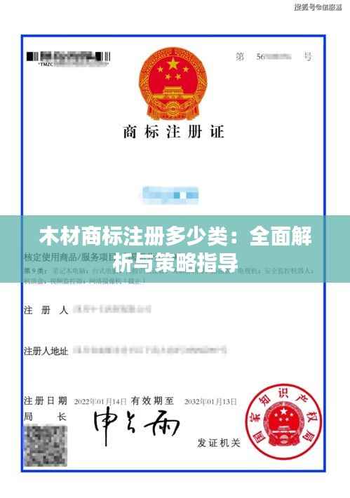 木材商标注册多少类：全面解析与策略指导