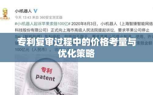 专利复审过程中的价格考量与优化策略