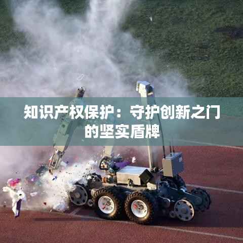 知识产权保护:守护创新之门的坚实盾牌