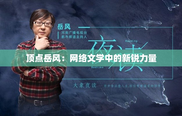顶点岳风:网络文学中的新锐力量