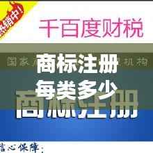 商标注册每类多少钱:全面解析各类商标注册费用