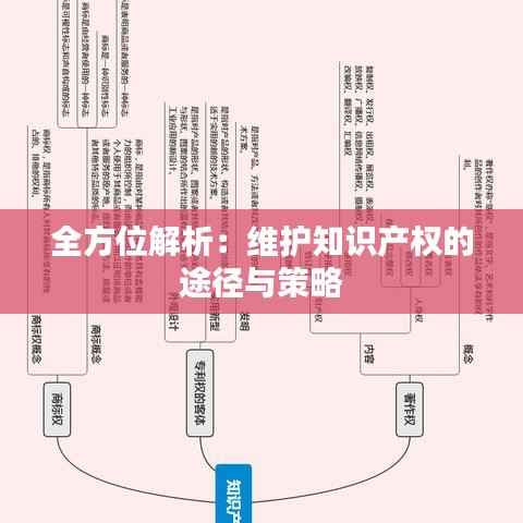 全方位解析:维护知识产权的途径与策略