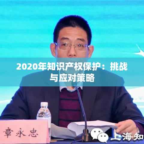 2020年知识产权保护：挑战与应对策略