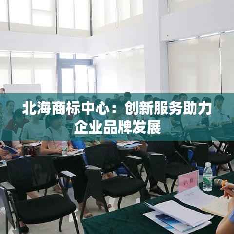 北海商标中心:创新服务助力企业品牌发展