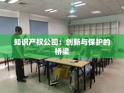 知识产权公司:创新与保护的桥梁