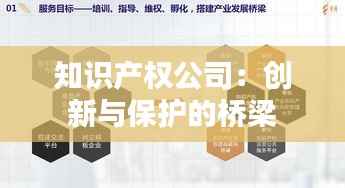 知识产权公司:创新与保护的桥梁