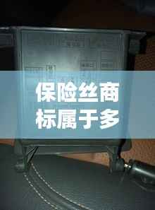 保险丝商标属于多少类