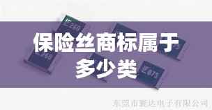 保险丝商标属于多少类