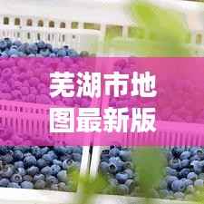 芜湖市地图最新版下载指南:探索城市的便捷之道