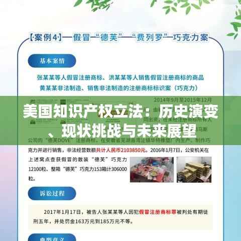 美国知识产权立法：历史演变、现状挑战与未来展望