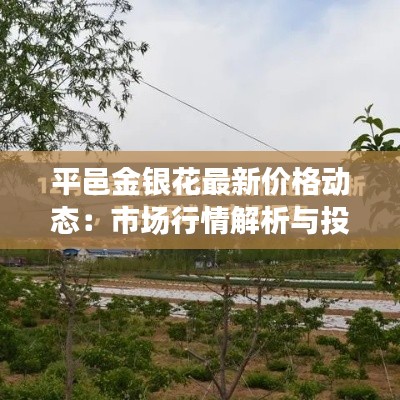 平邑金银花最新价格动态:市场行情解析与投资前景展望