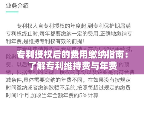 专利授权后的费用缴纳指南:了解专利维持费与年费