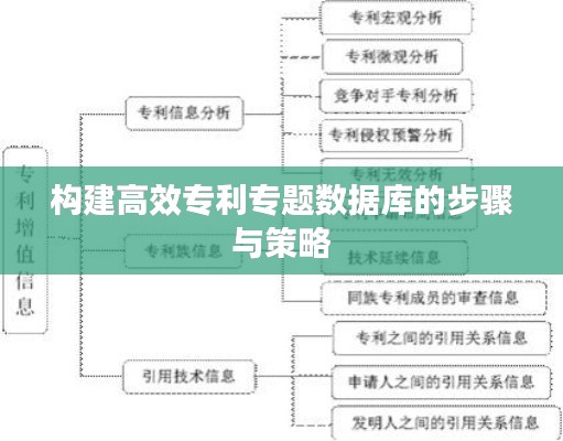 构建高效专利专题数据库的步骤与策略