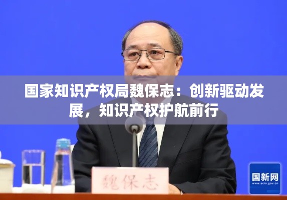 国家知识产权局魏保志:创新驱动发展,知识产权护航前行