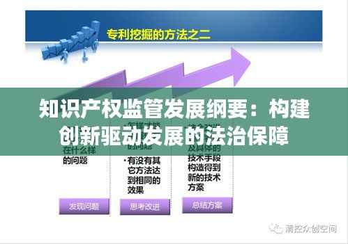 知识产权监管发展纲要：构建创新驱动发展的法治保障