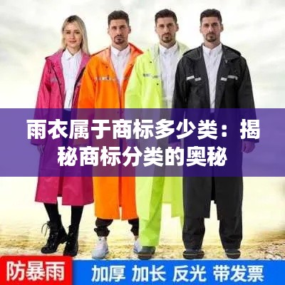 雨衣属于商标多少类:揭秘商标分类的奥秘