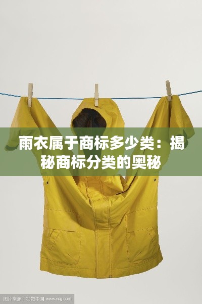 雨衣属于商标多少类:揭秘商标分类的奥秘