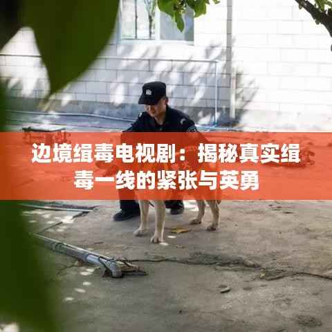 边境缉毒电视剧:揭秘真实缉毒一线的紧张与英勇