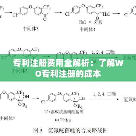 专利注册费用全解析：了解WO专利注册的成本