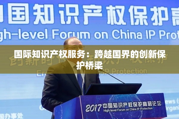 国际知识产权服务:跨越国界的创新保护桥梁
