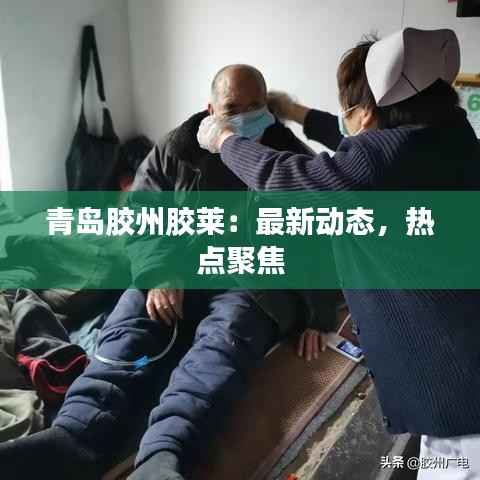 青岛胶州胶莱:最新动态,热点聚焦